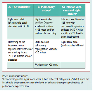 Pulmonary Arterial Hypertension: Establishing Diagnosis and Treatment ...