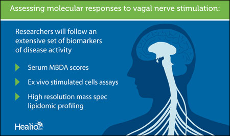 Modular responses graphic